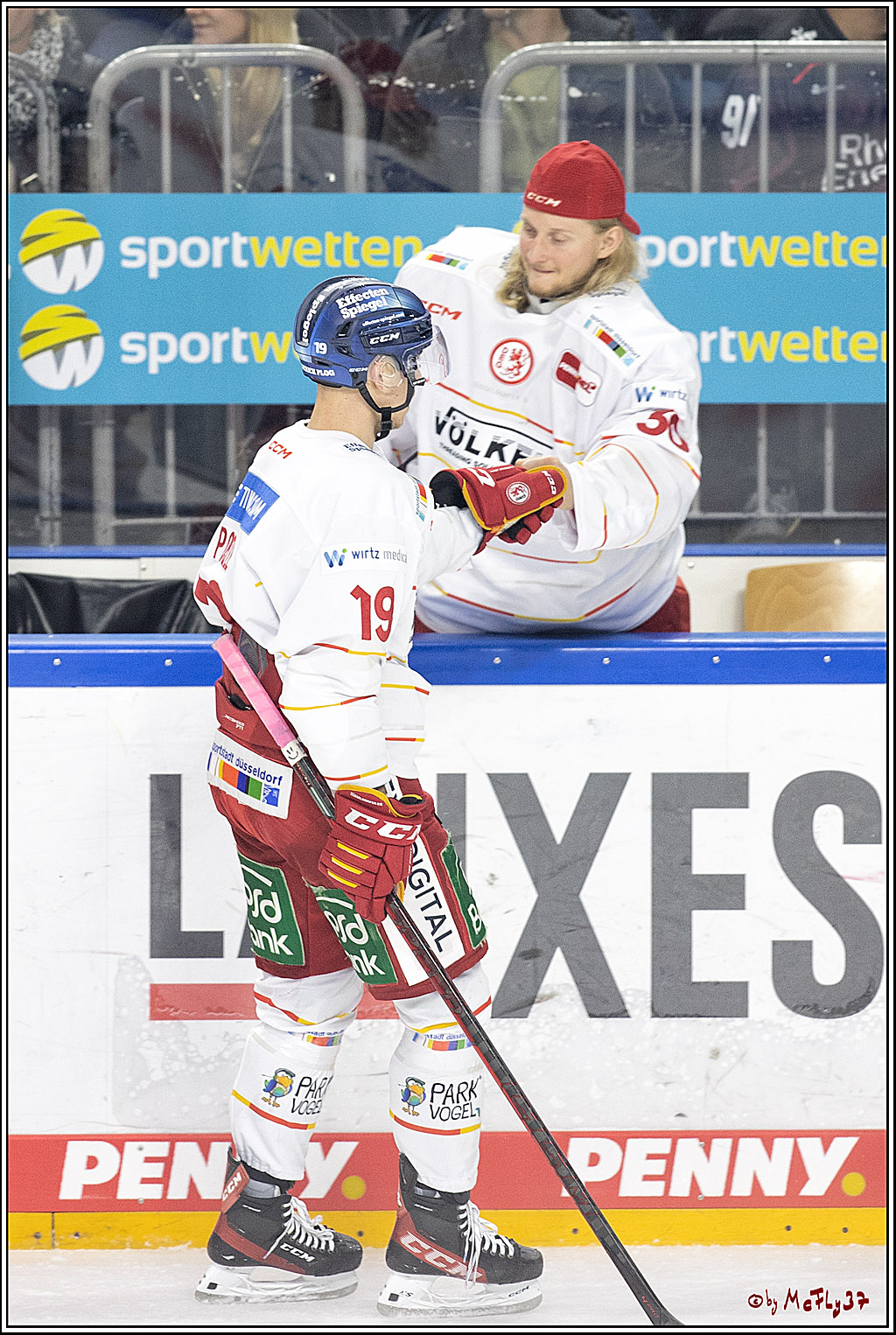 PENNY DEL;  Koelner Haie - Duesseldorfer EG; Koeln, 19.10.2021